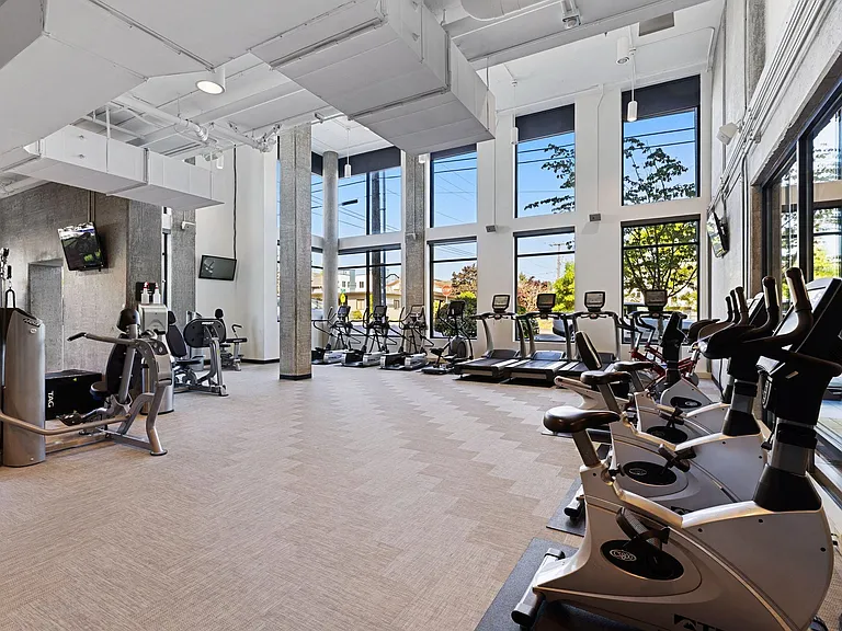 Get a full workout in with cardio machines and stationary bikes by sunlit windows