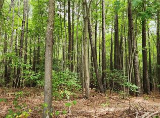 39141 Hudgins Ln LOT 1, Susan, VA 23163