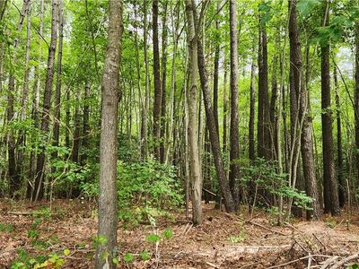 39141 Hudgins Ln LOT 1, Susan, VA, 23163