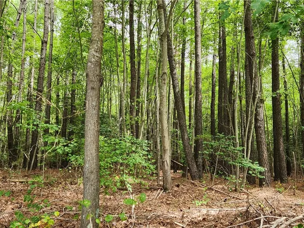 39141 Hudgins Ln Lot 1, Susan, VA 23163