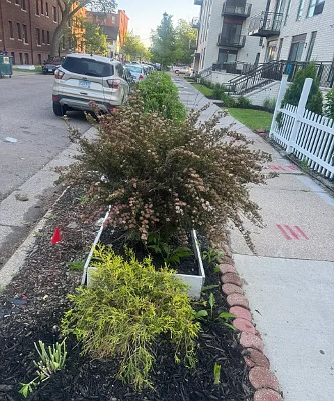 2717 Girard Ave S #201 — Photo 70