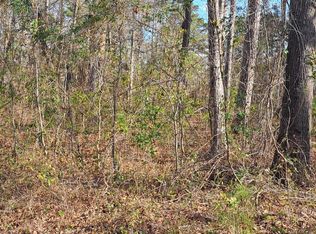 1 Plantation Dr, Santee, SC 29142