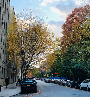 Sold by Douglas Elliman | media 16