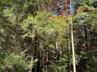 1132 Squirrels Nest Rd LOT WP001, Frenchville, PA 16836