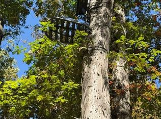 Lightfoot Fork Rd, Falmouth, KY 41040