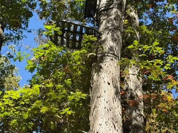 Lightfoot Fork Rd, Falmouth, KY 41040