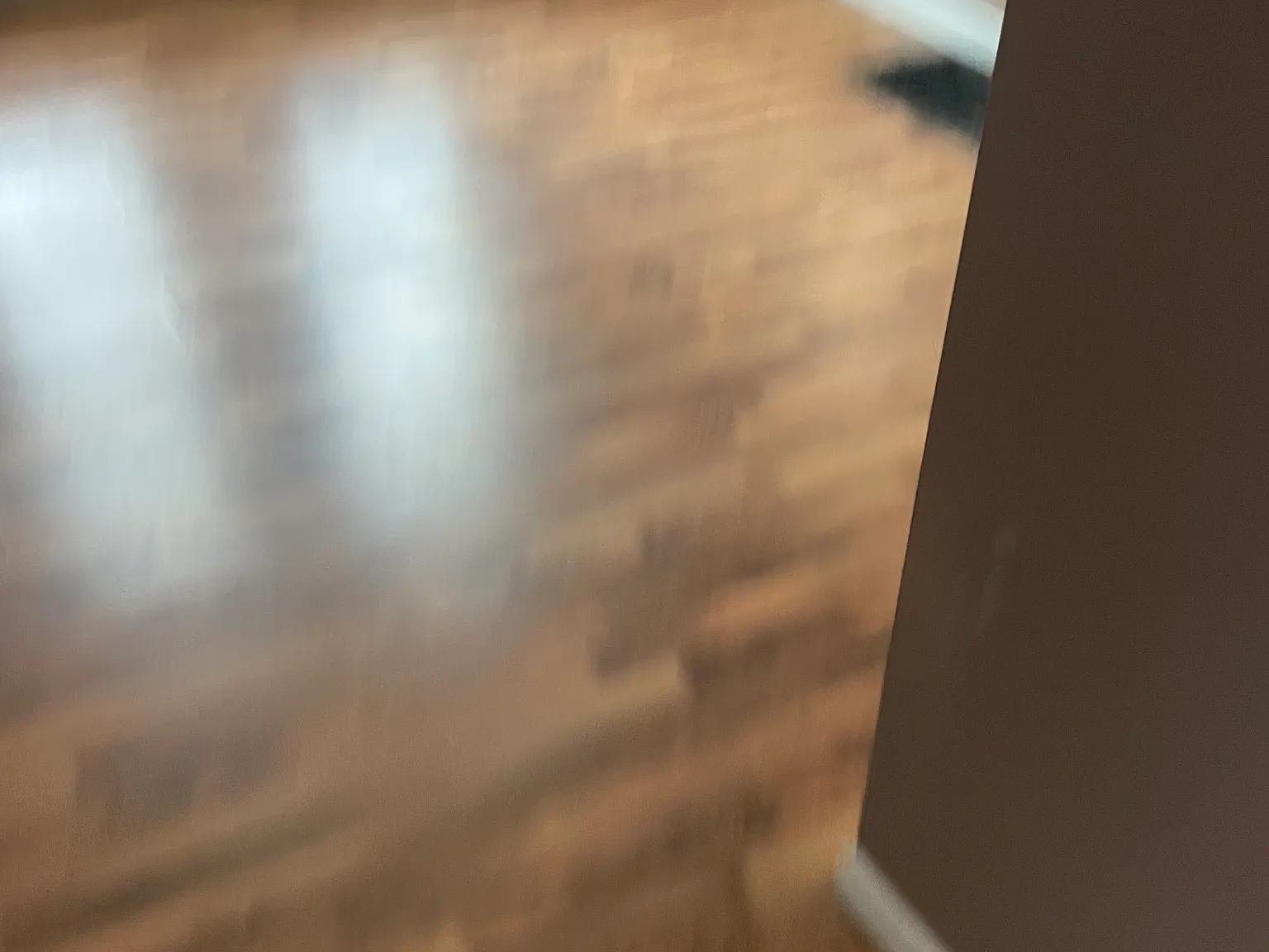2 bed, $850 — Photo 4