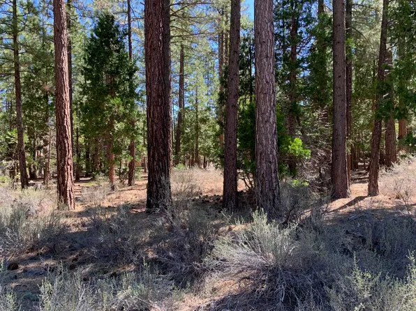 755 Yeargin Dr, Portola, CA 96122