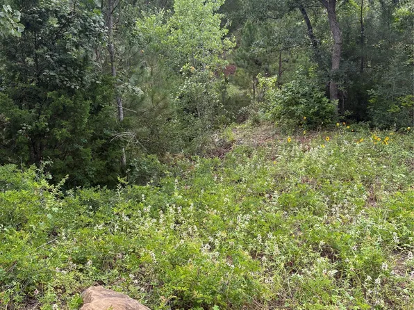 Kaena Ln, Bastrop, TX 78602