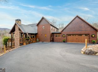 339 Birdseye Vw, Blue Ridge, GA 30513