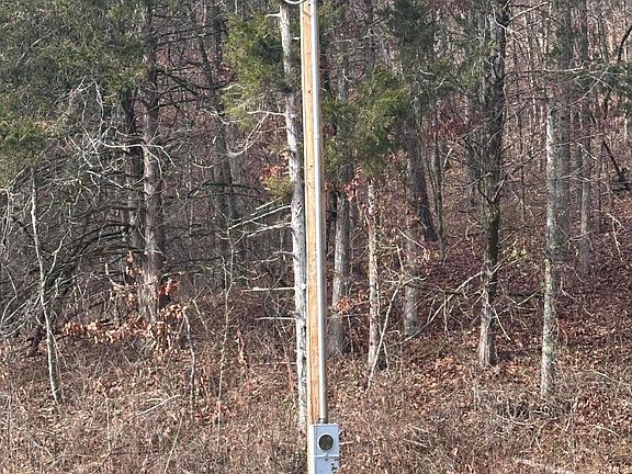5th image of 1007 County Road 166