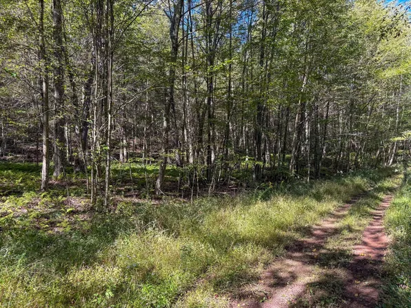 0 Peterson Dr, Roscoe, NY 12776