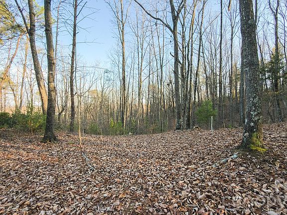 3rd image of All Healing Springs Rd #2