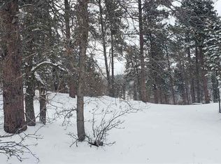 11968 Pillar Peak Pl, Sturgis, SD 57785