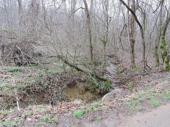 2nd image of Tbd McInturff Springs Rd