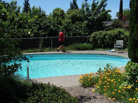 View of pool from house.