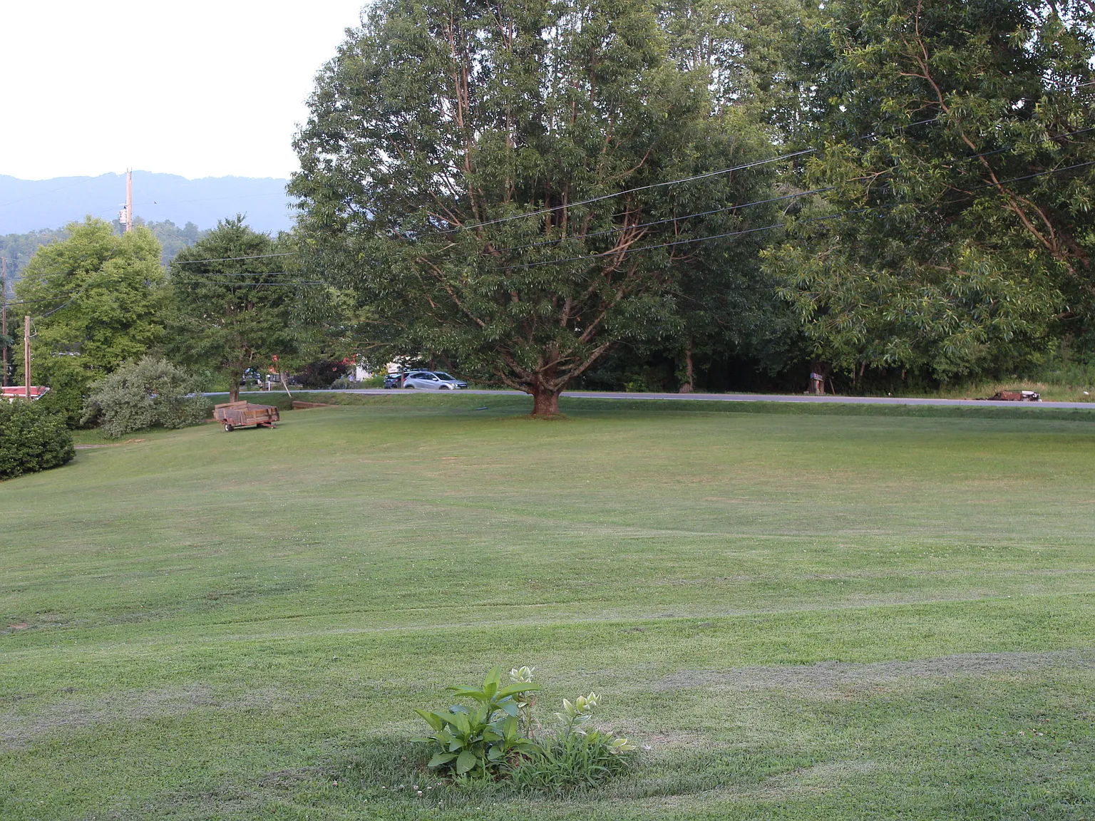 3 bed, 1250 sqft, $1,350 — Photo 2
