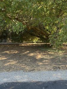 1180 E Woodbridge Rd, Woodbridge, CA, 95258