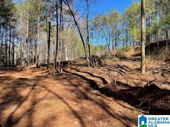 216 Ridgewood Dr Lot 27, Hayden, AL 35079