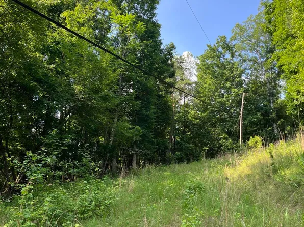 0 Hawthorne Dr, Spring City, TN 37381