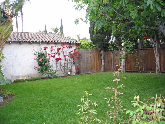 Backyard (has lemon tree)