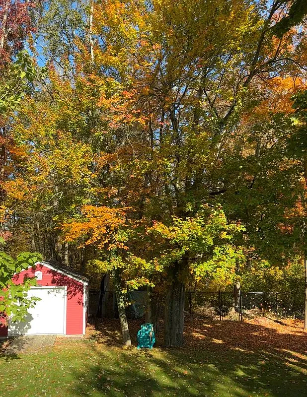 3 bed, 2.0 bath, 1300 sqft, $3,500 — Photo 2