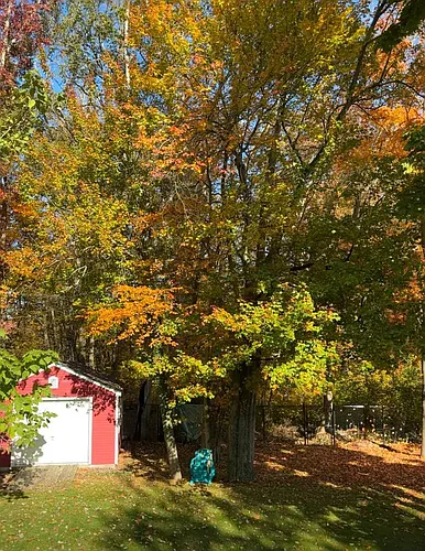 704 N Cary St #UPPER LEVEL Photo 1