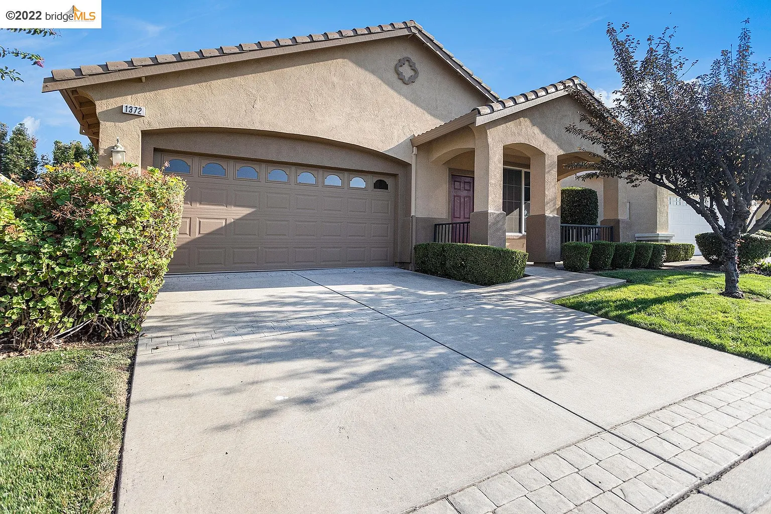 1372 Pearl Way photo 1
