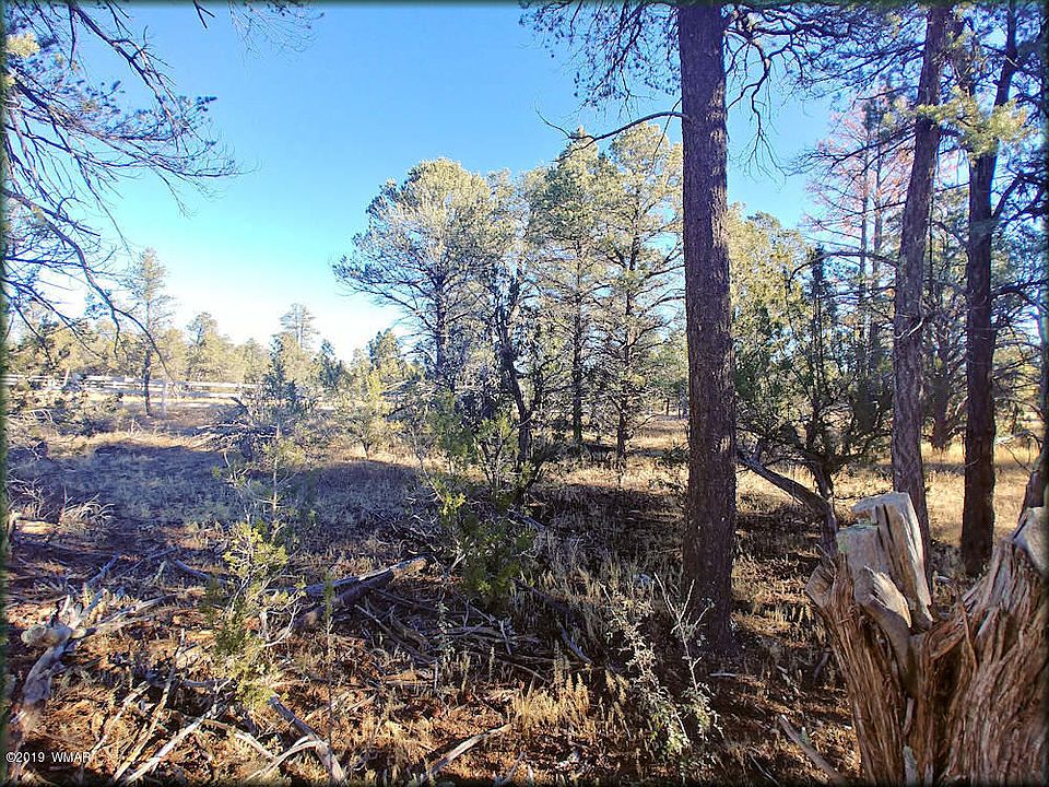 2nd image of 3355 Apache Dr