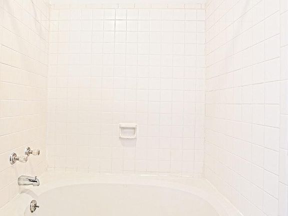 Garden Tub with Shower