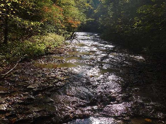 5th image of 0 County Road 215