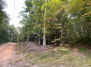 288 Adam Ct, Ellijay, GA 30540