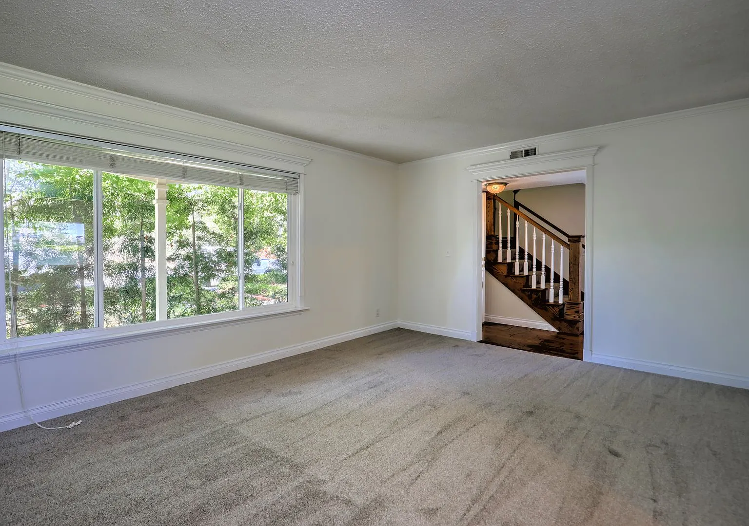 Mountain View 4 bdrm — Photo 4