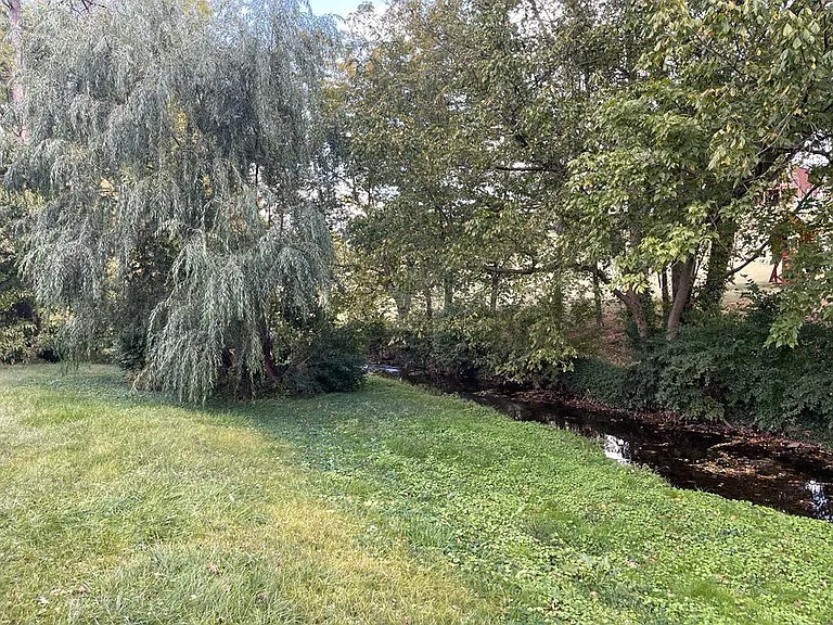 4273 Forsythe Dr — Photo 33