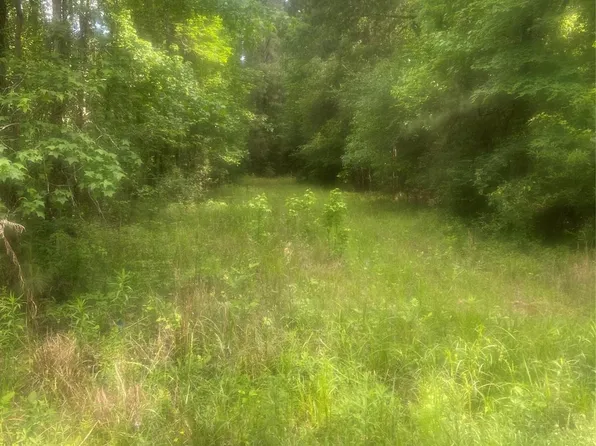 251 Pickens Loop, Livingston, TX 77351