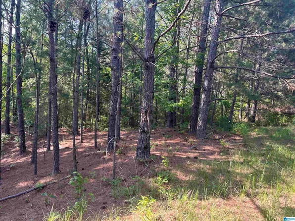 1601 Philpot Rd, Hayden, AL 35079