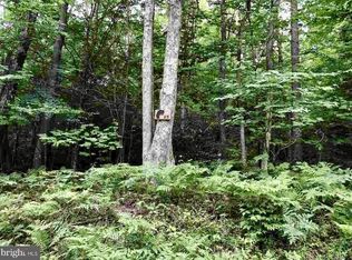 25 Black Bear Trl, Davis, WV 26260