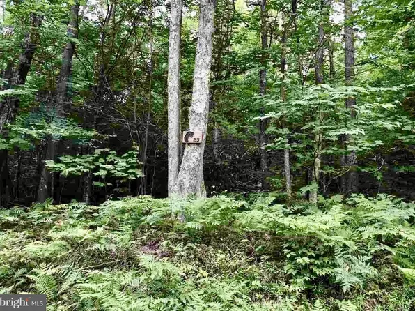 25 Black Bear Trl, Davis, WV 26260
