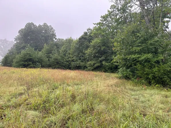 Roanoke Bridge Rd, Charlotte Court House, VA 23923