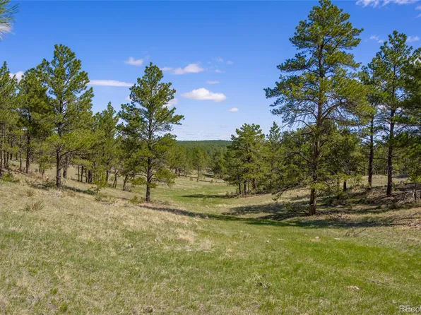 Parcel 2 Onyx Trail, Deer Trail, CO 80105