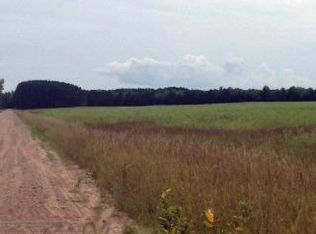 Niemi Rd, Kaleva, MI 49645