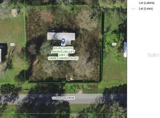 26729 Glenwood Dr, Wesley Chapel, FL 33544