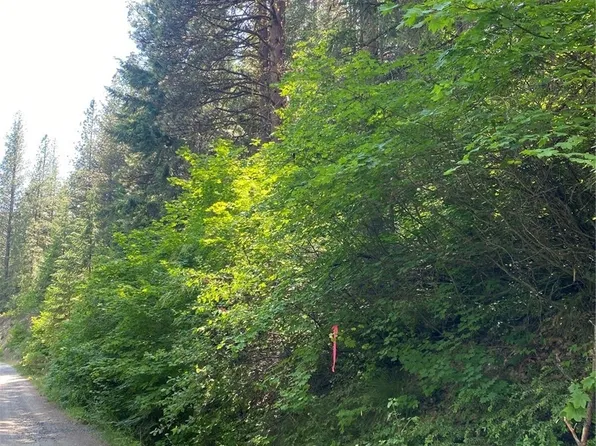 0 Second Creek Road, Leavenworth, WA 98826