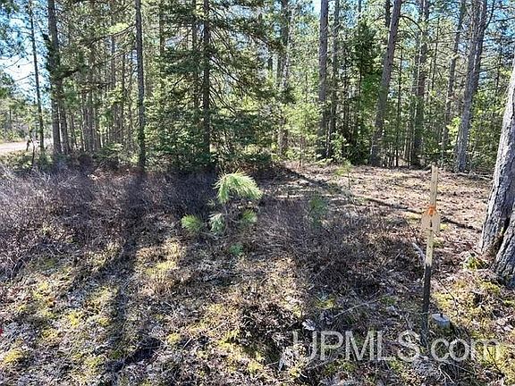 4th image of Little Rice Lake Rd Unit 61