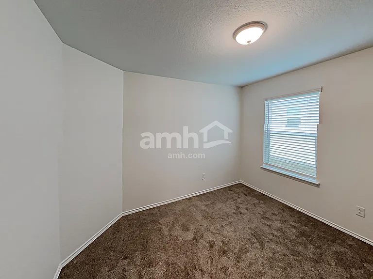 213 Texas Thistle — Photo 15