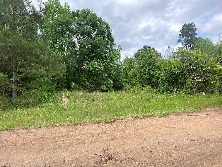 2nd image of County Road 1608