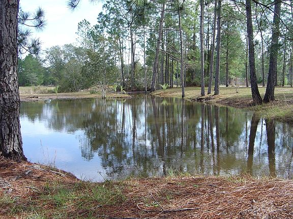 Pond in back of property filled with bass and tilepia