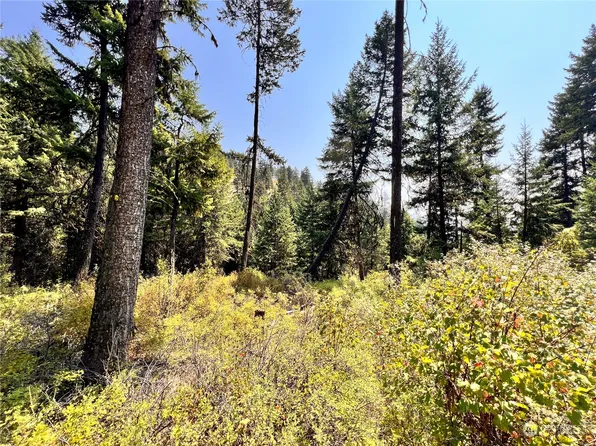 0 Lot 193 Stacy Road, Republic, WA 99166