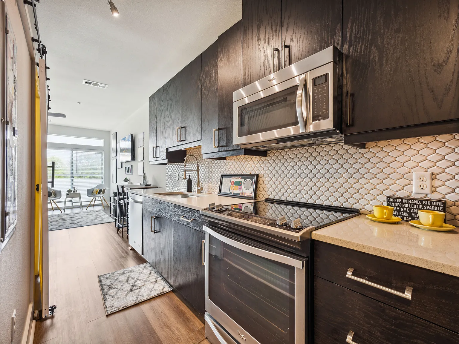 1 bed, 466 sqft, $1,250 — Photo 4