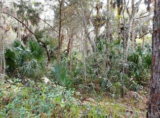 6615 Lake Ave, Yankeetown, FL 34498